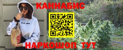 спиды Моздок