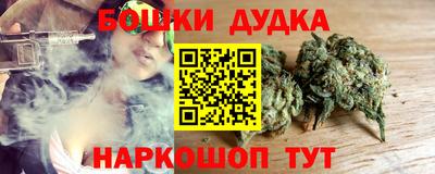 гидра Можга