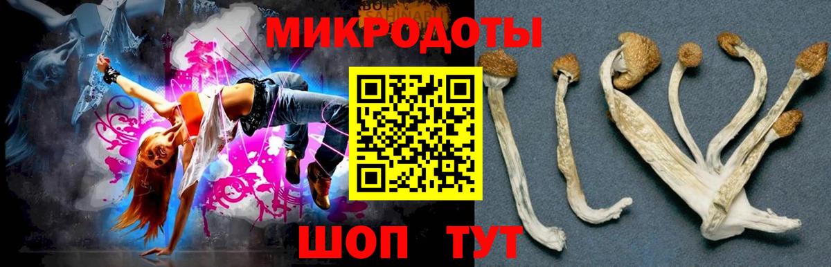 Галлюциногенные грибы Cubensis  Вход с VPN  Тельмана  Псилоцибиновые грибы Psilocybe 