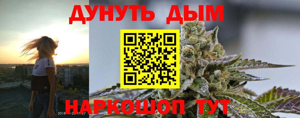 Бошки Шишки ГИДРОПОН Тельмана